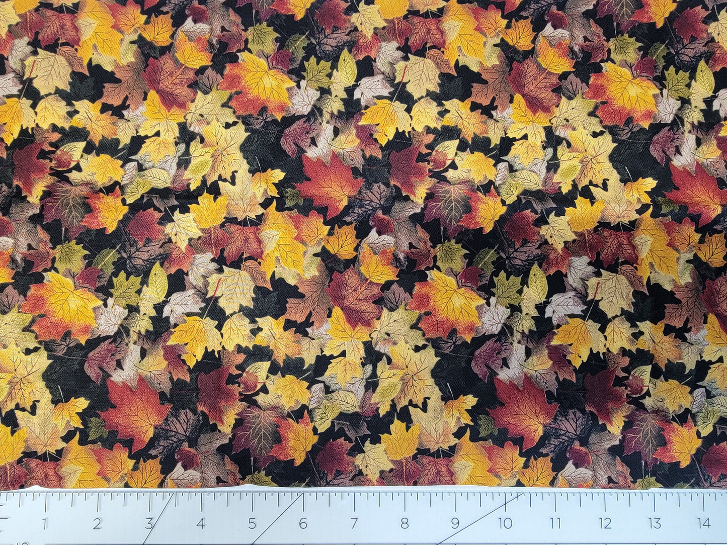 Autumn 1 yard